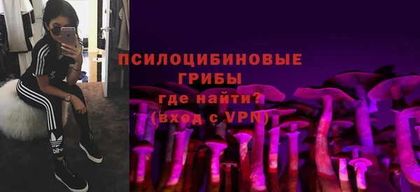 амф Вязьма