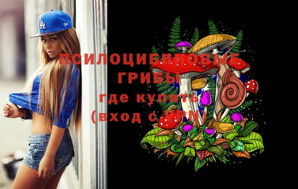 не бодяженный Вяземский