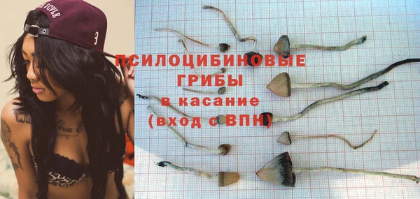 не бодяженный Вяземский