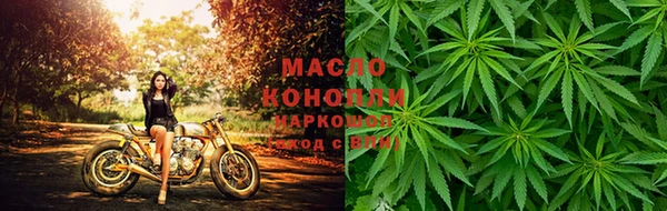 амф Вязьма
